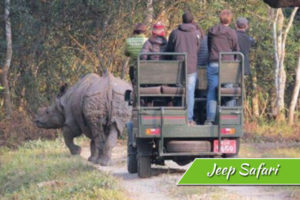 Jeep Safari